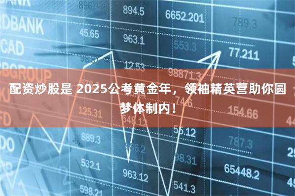 配资炒股是 2025公考黄金年，领袖精英营助你圆梦体制内！